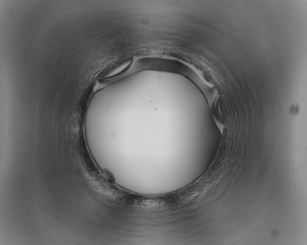 X0000096990546200802291211