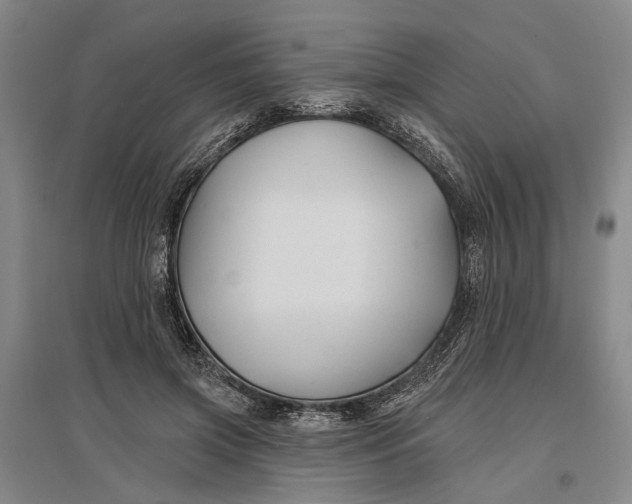 X0000096990549200802291211