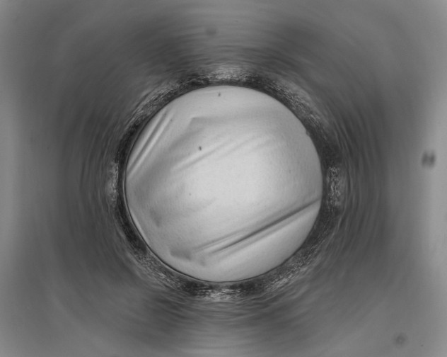 X0000096990550200802291211