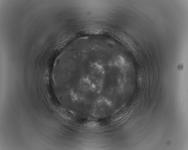 X0000096990551200802291211