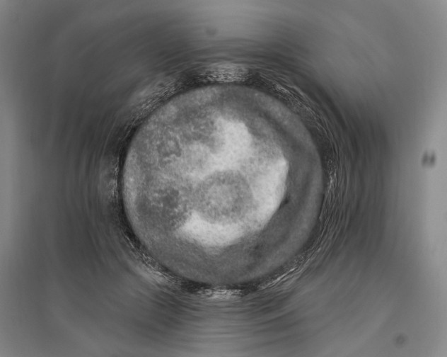 X0000096990553200802291211