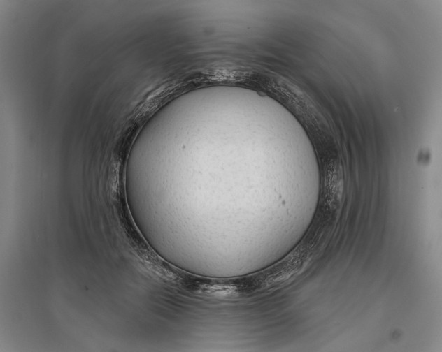 X0000096990554200802291211