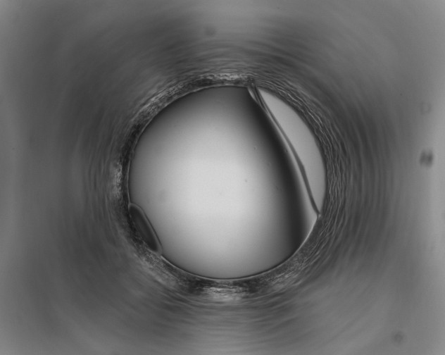 X0000096990556200802291211