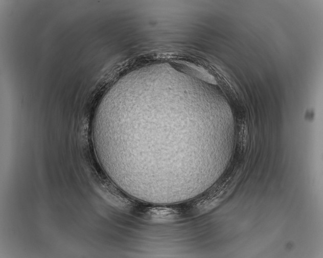 X0000096990557200802291211