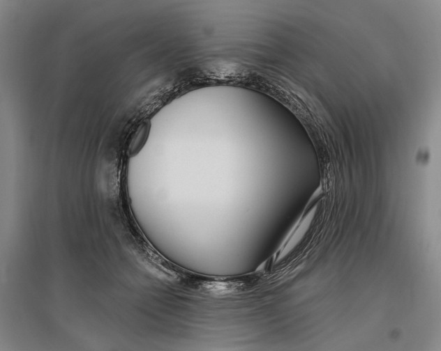 X0000096990558200802291211