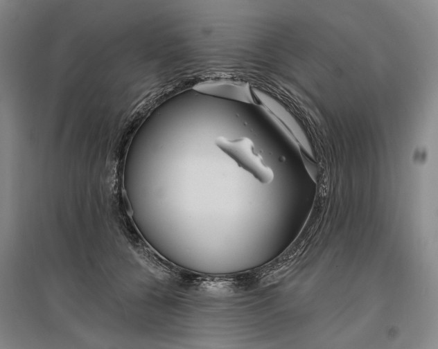 X0000096990560200802291211