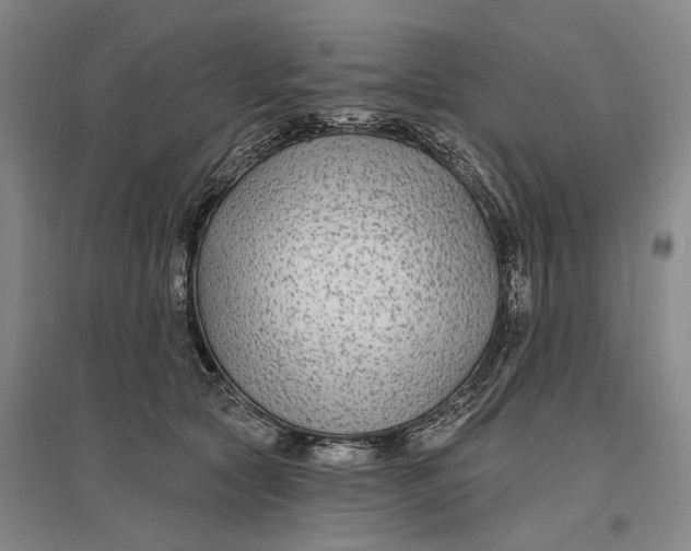 X0000096990561200802291211