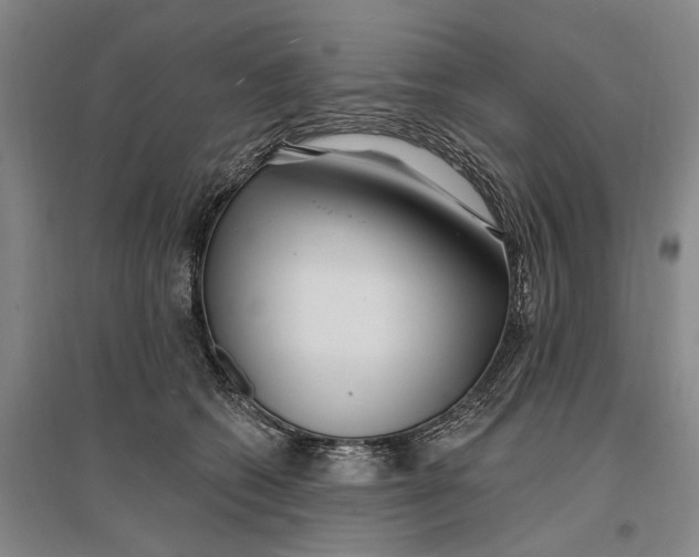 X0000096990562200802291211