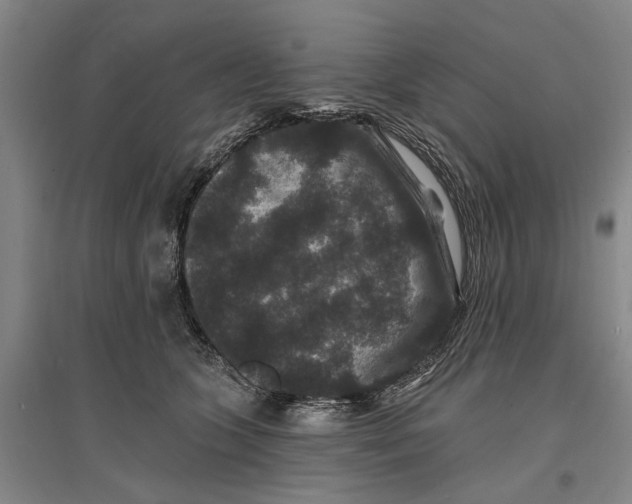 X0000096990563200802291212