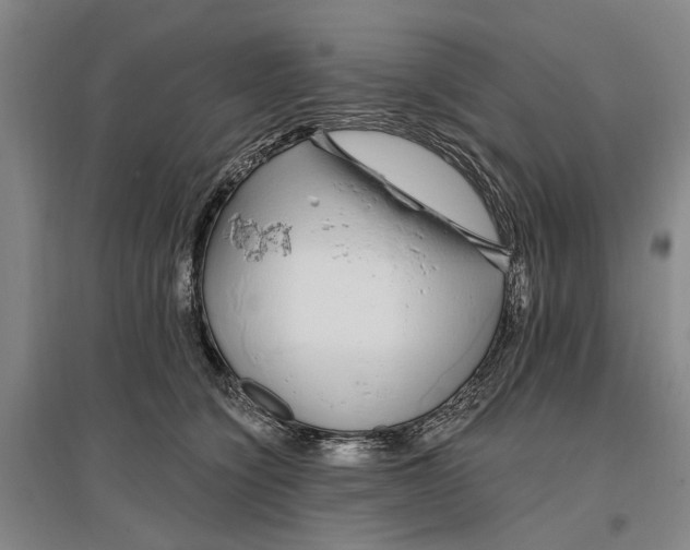 X0000096990564200802291212