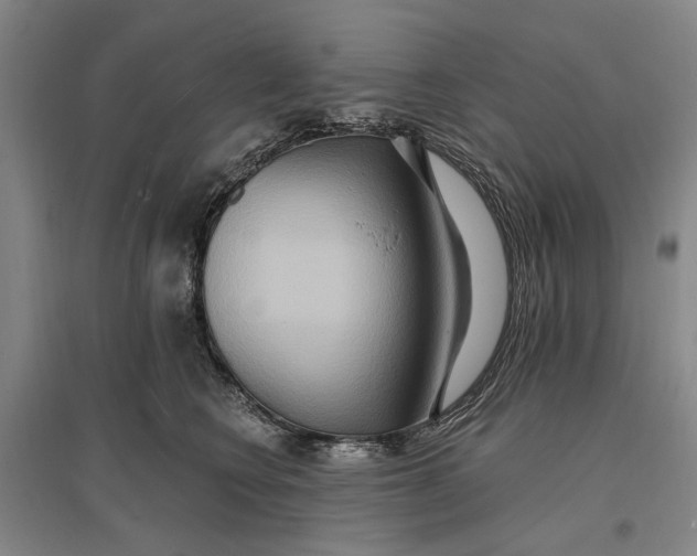 X0000096990566200802291212