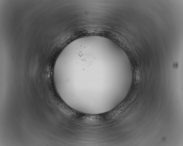 X0000096990567200802291212