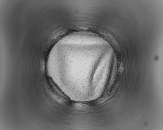 X0000096990568200802291212