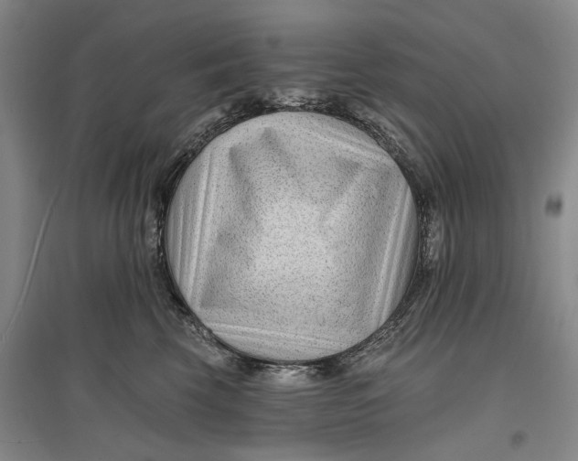 X0000096990569200802291212