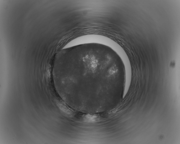 X0000096990570200802291212