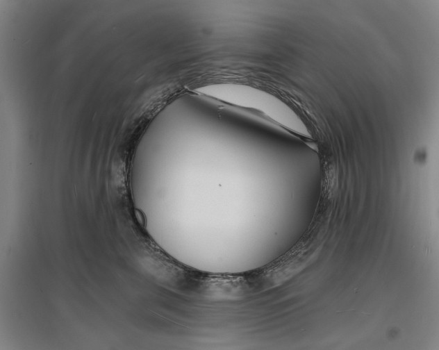 X0000096990571200802291212