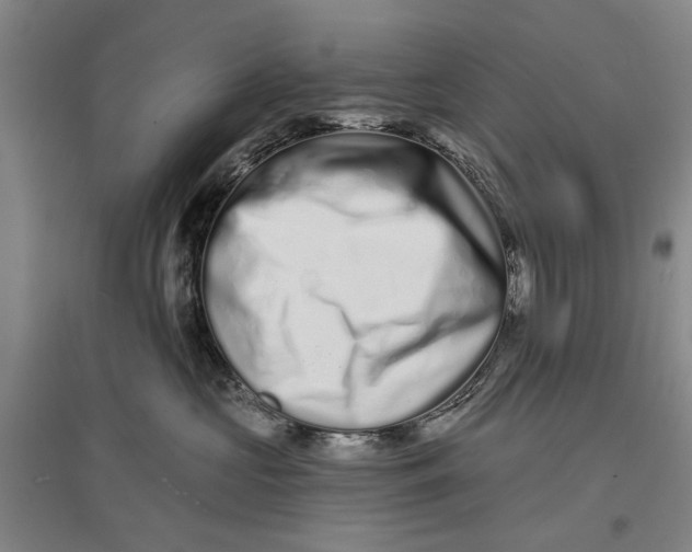 X0000096990573200802291212