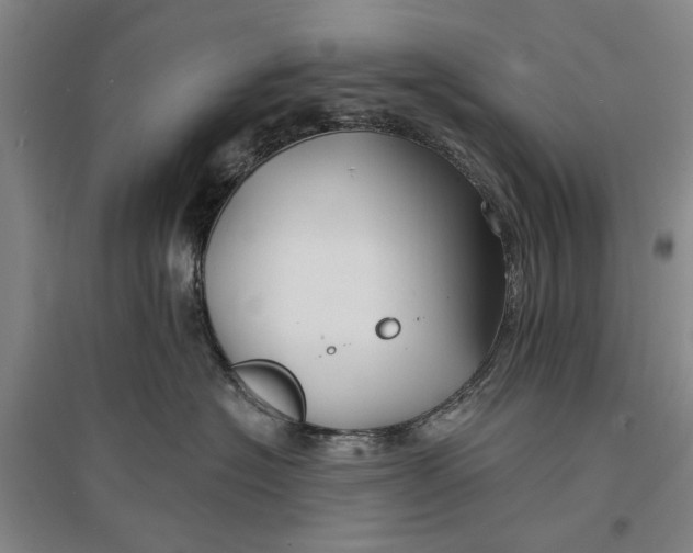 X0000096990574200802291212