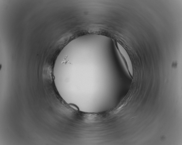 X0000096990575200802291212