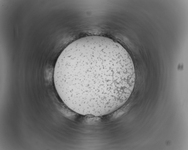 X0000096990576200802291212