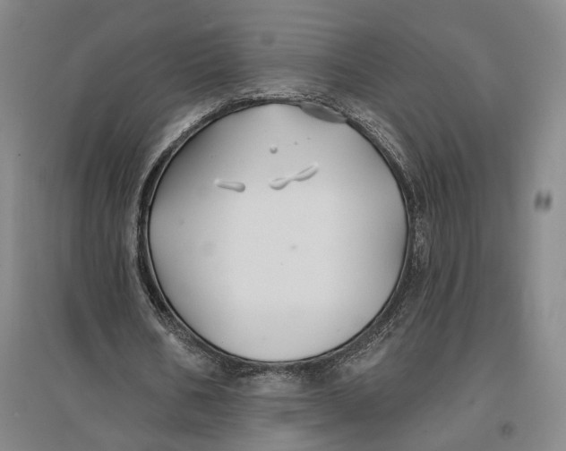 X0000096990578200802291211