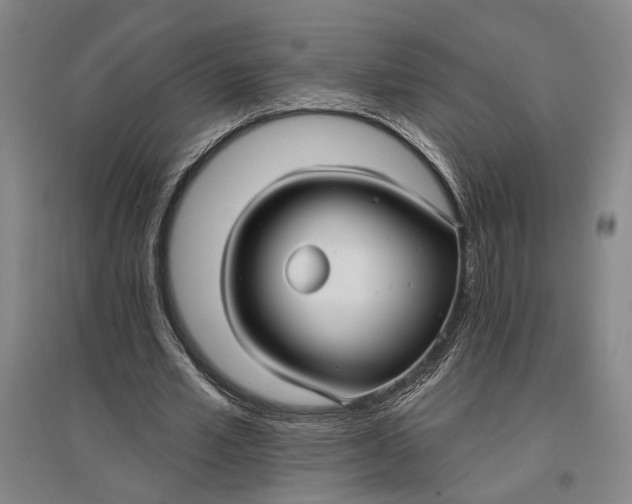 X0000096990581200802291211