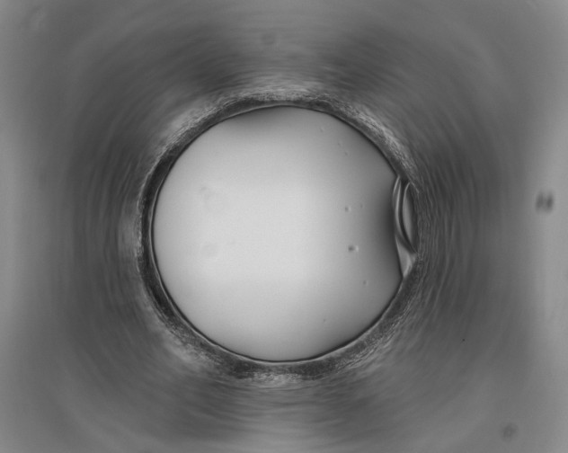 X0000096990582200802291211