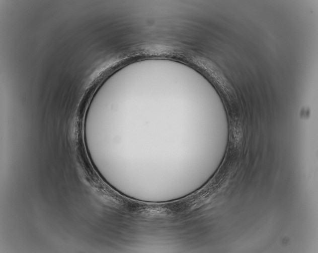 X0000096990583200802291211