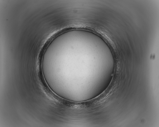 X0000096990584200802291211