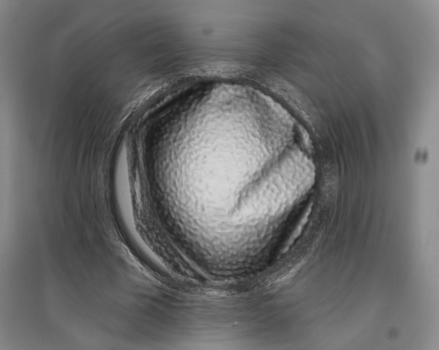 X0000096990585200802291211