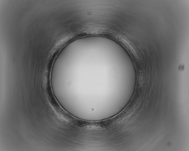 X0000096990586200802291211