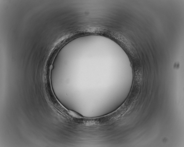 X0000096990587200802291211