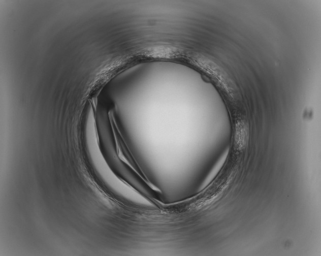 X0000096990589200802291211