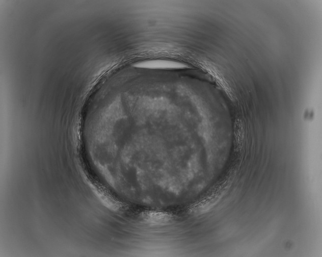 X0000096990590200802291211