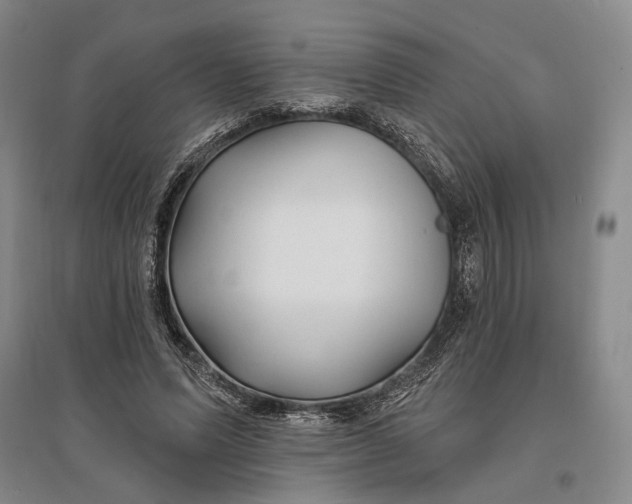 X0000096990591200802291211