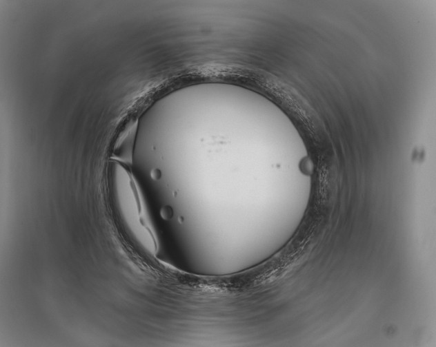 X0000096990592200802291211