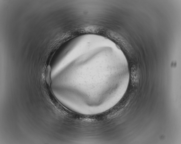 X0000096990593200802291211