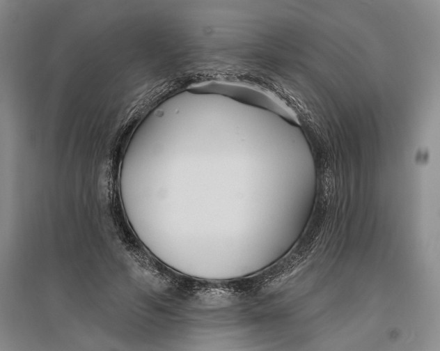 X0000096990594200802291211