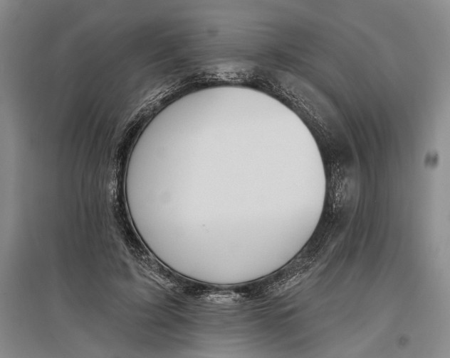 X0000096990595200802291211