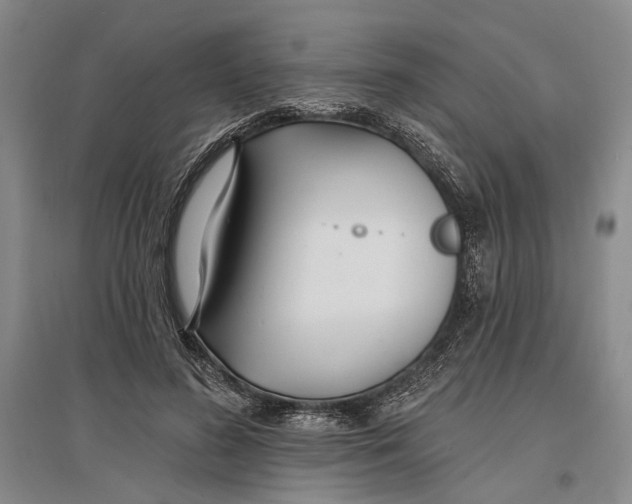 X0000096990596200802291211