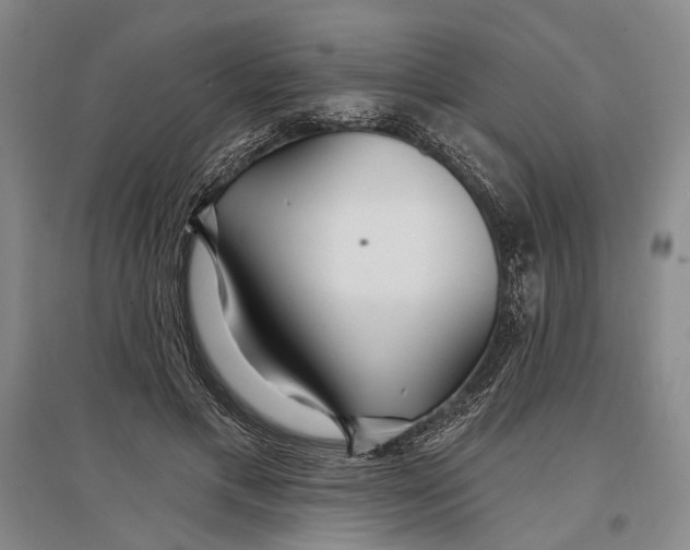 X0000096990597200802291211