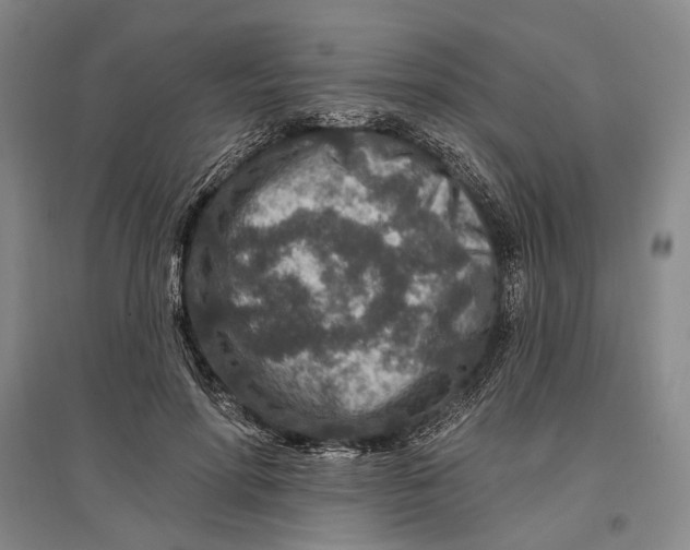 X0000096990598200802291211