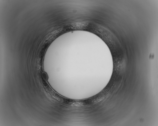 X0000096990599200802291211