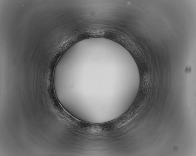 X0000096990600200802291211