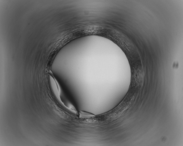 X0000096990601200802291211