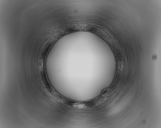 X0000096990602200802291211