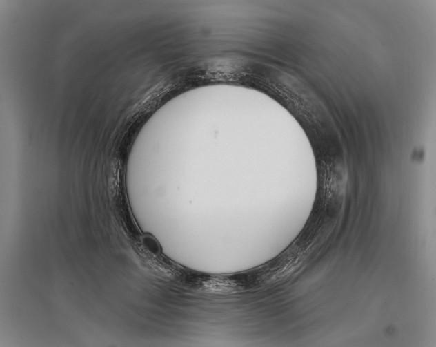 X0000096990603200802291211