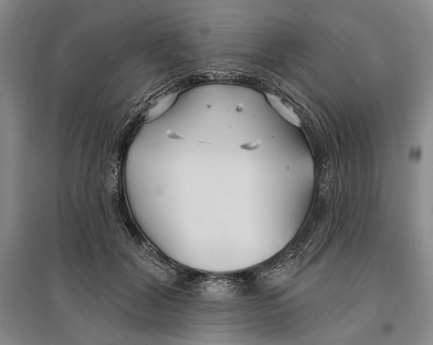 X0000096990604200802291211