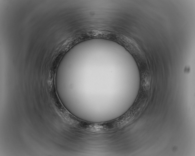 X0000096990607200802291211