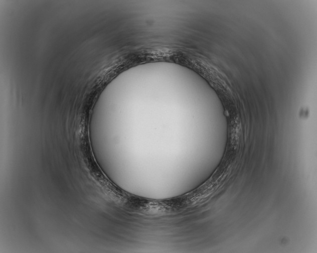 X0000096990608200802291211